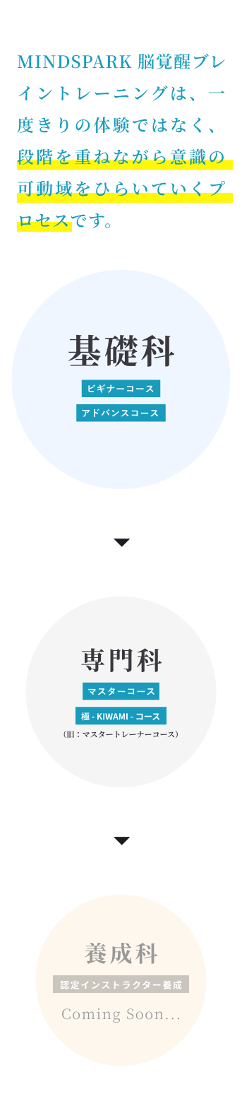 基礎科が多く、専門科、養成科になるほどその数は少なくなっていく
